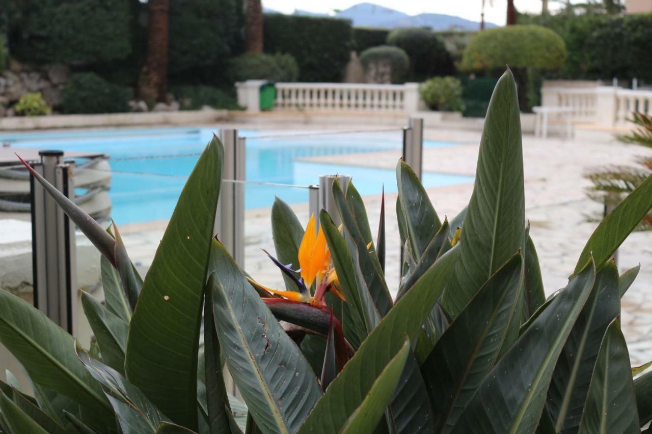 Appartement Palm D'Azur カンヌ エクステリア 写真